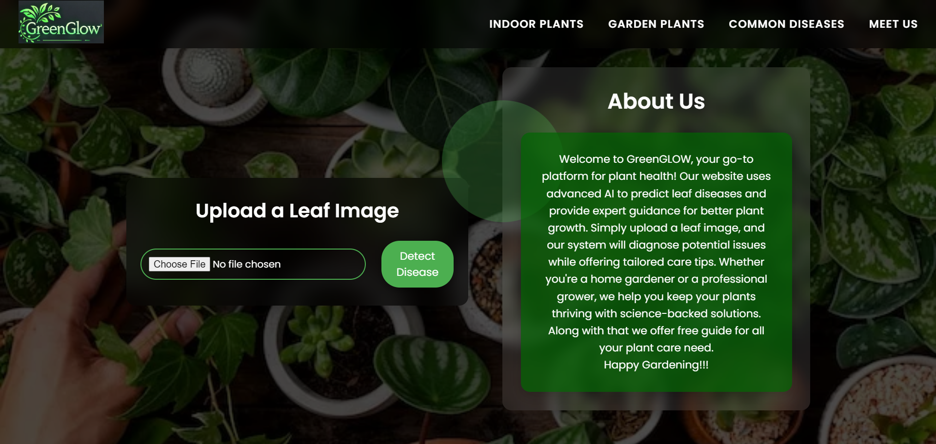 GreenGlow